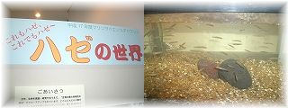 博物館