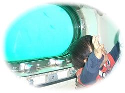 海中