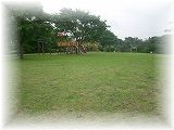 公園