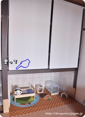 20140317-5.JPG