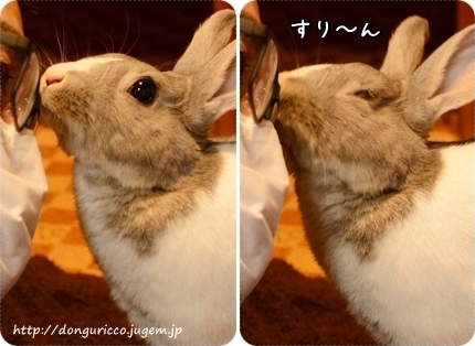 20140322-4.jpg