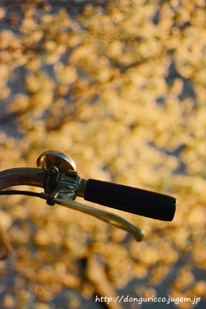 20140402-1.JPG