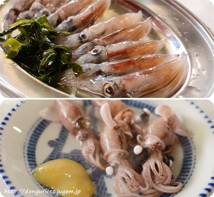 20140406-8.jpg