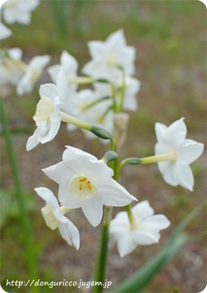 20140406-10.JPG