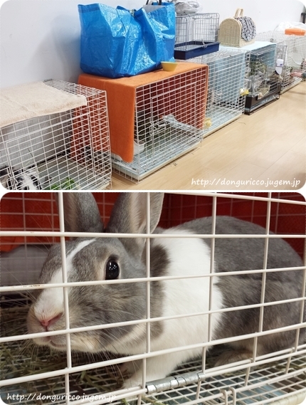 20140410-2.jpg