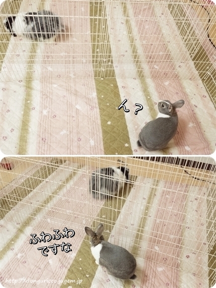 20140410-3.jpg