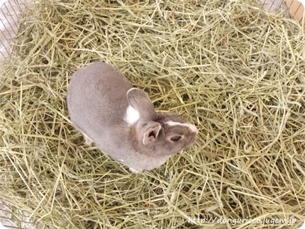 20140410-4.jpg