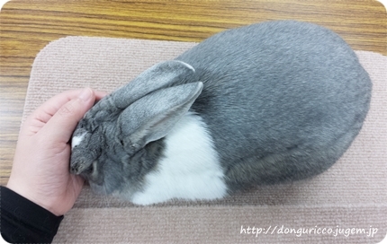 20140410-8.jpg