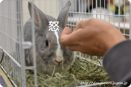 20140415-1.JPG