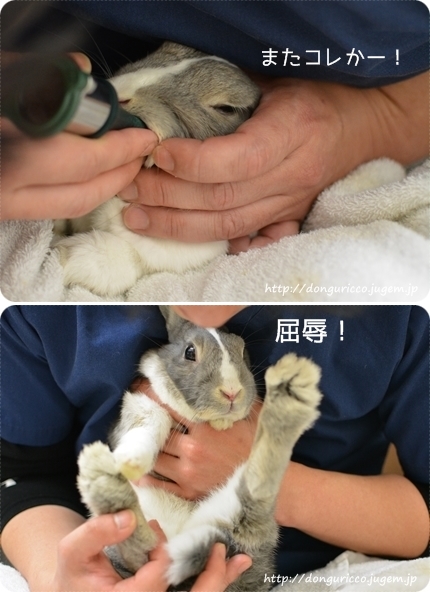 20140415-2.jpg