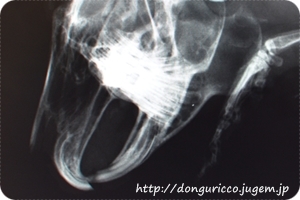 20140415-3.JPG