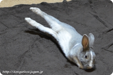 20140420-3.JPG