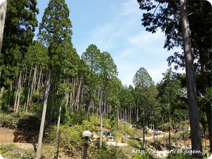 20140510-1.jpg