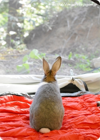20140511-2.JPG