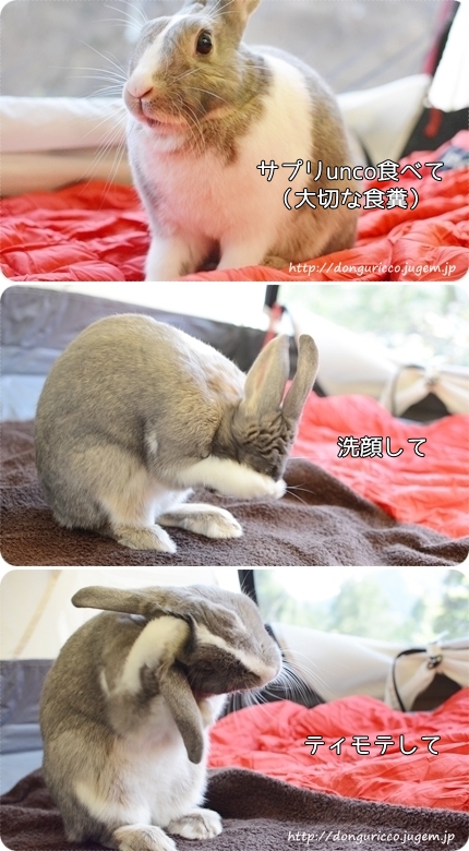 20140511-5.jpg