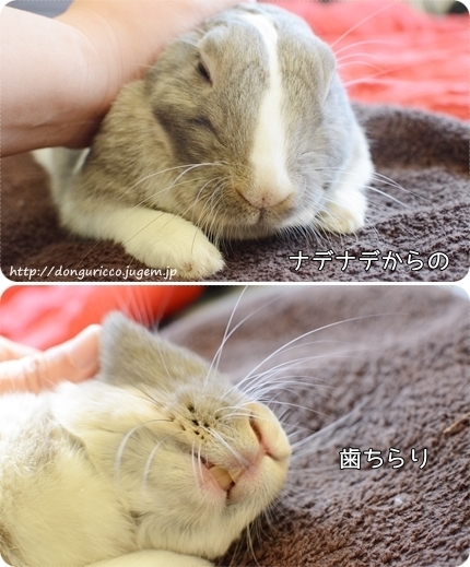 20140511-8.jpg