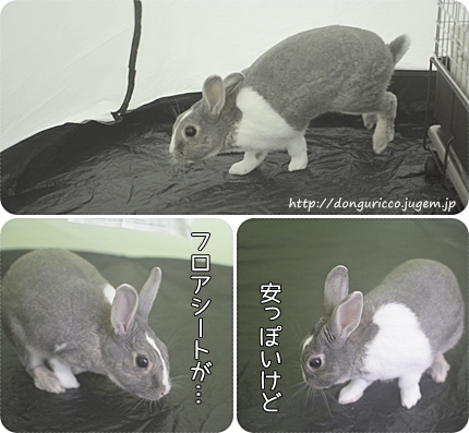 20140511-13.jpg