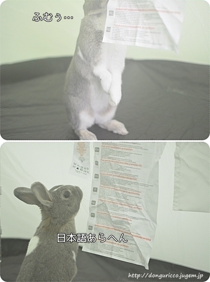 20140511-15.jpg