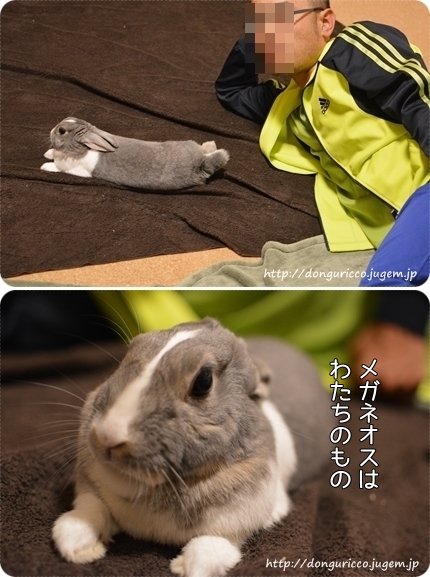 20140513-1.jpg
