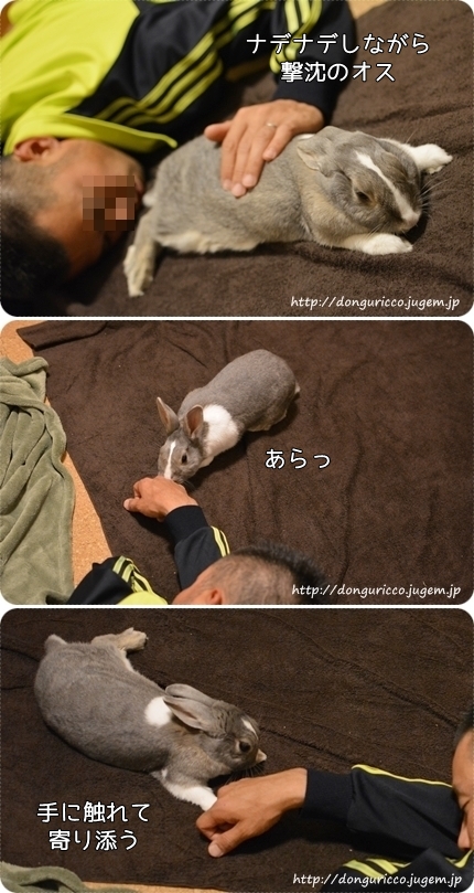 20140513-2.jpg