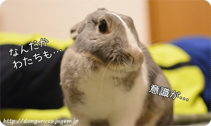 20140513-3.JPG