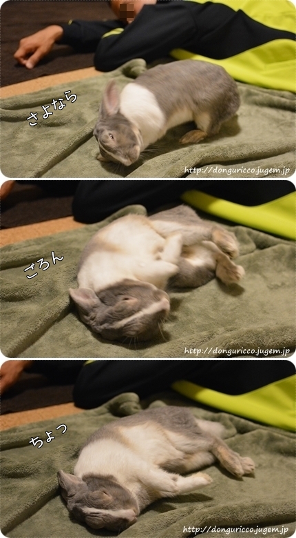 20140513-4.jpg