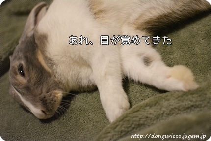 20140513-7.JPG