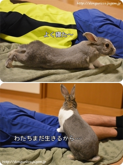 20140513-8.jpg