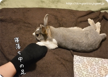 20140515-1.JPG