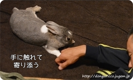 20140515-4.jpg