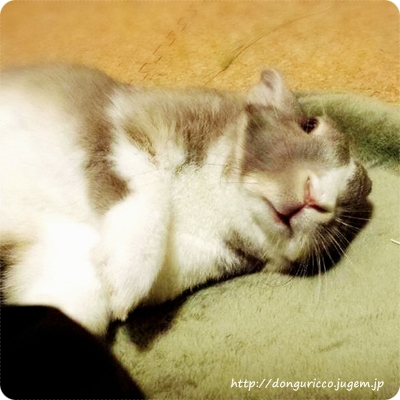 20140524-2.jpg