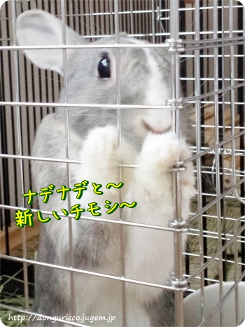 20140606-2.jpg