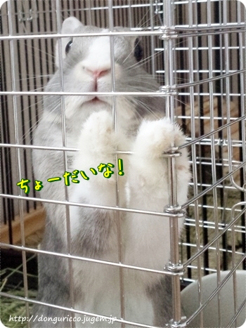 20140606-3.jpg