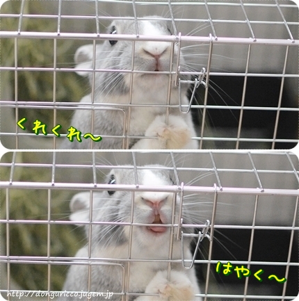20140606-4.jpg