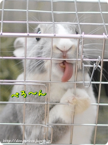 20140606-5.JPG