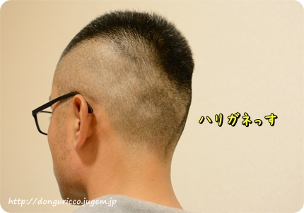 20140615-3.JPG