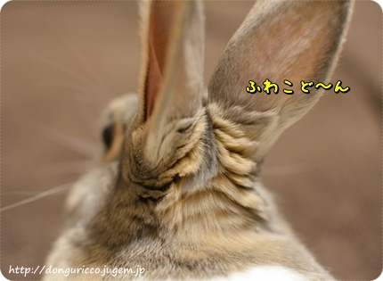 20140615-2.JPG