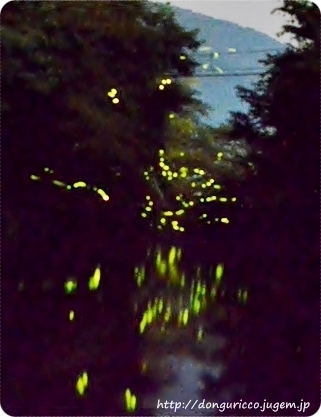 201406167-4.JPG