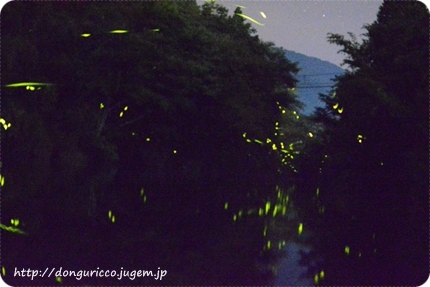 201406167-7.JPG