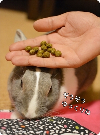 20140619-3.JPG