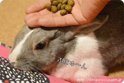 20140619-5.JPG