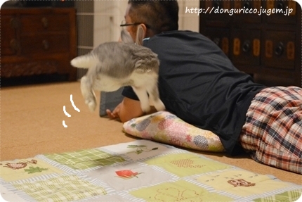 20140627-3.JPG