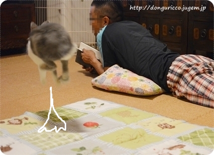 20140627-5.JPG