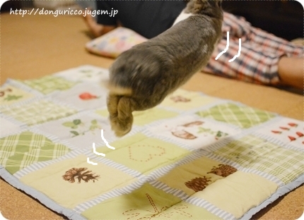 20140627-7.JPG