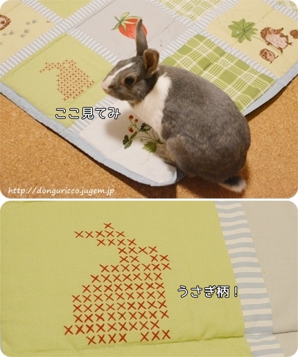 20140627-8.jpg