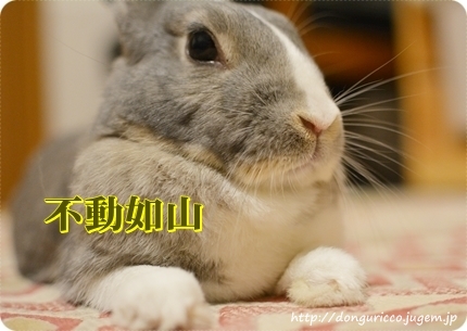 20140702-2.JPG