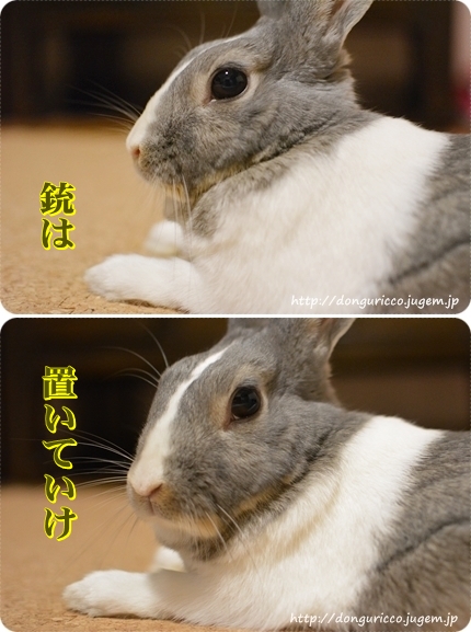 20140702-3.jpg