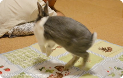 20140704-7.JPG
