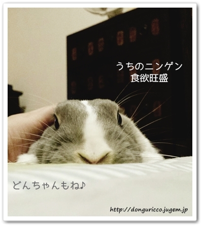 20140714-4.jpg