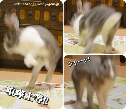 20140716-1.jpg